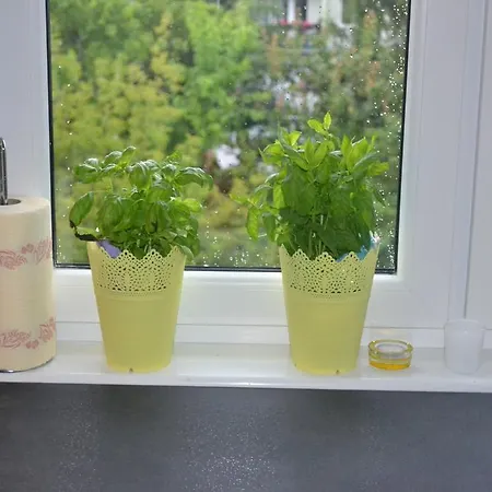 Lägenhet Jtb Apartament Chopina *