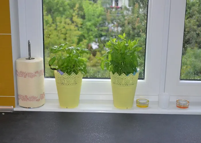 アパート Jtb Apartament Chopina *